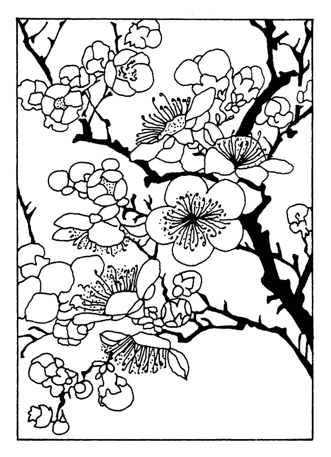 Announcing Cherry Blossom Coloring Page Pages 1161x1600 Announcing Cherry Blossom Coloring Page Pages