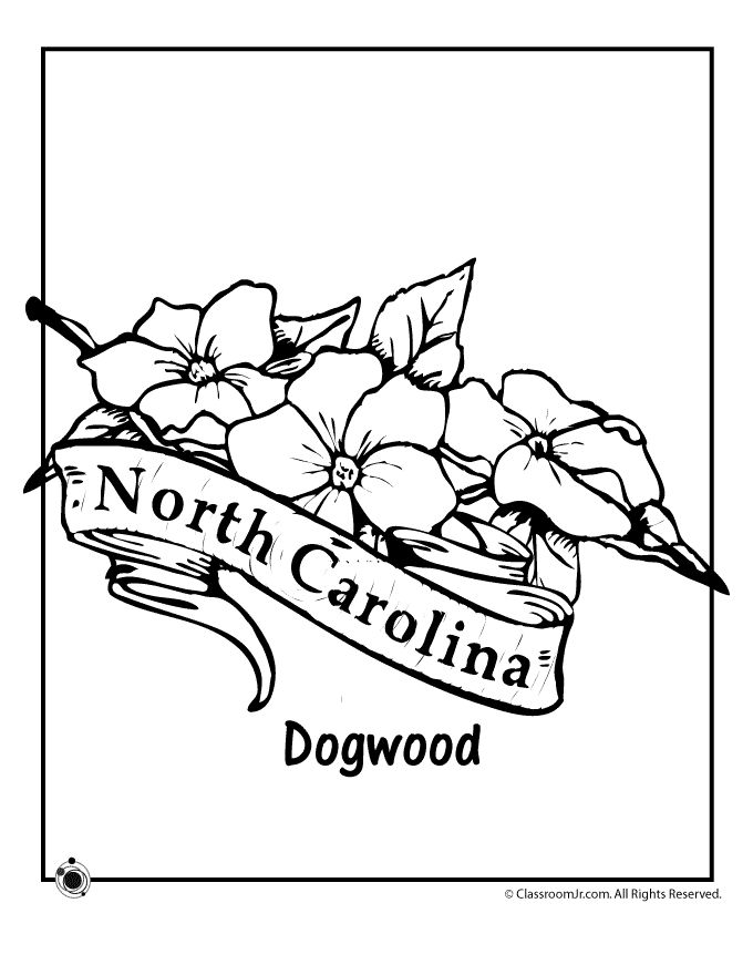 Unc Coloring Pages 65 Best Ss North Carolina Images 680x880 Unc Coloring Pages 65 Best Ss North Carolina Images