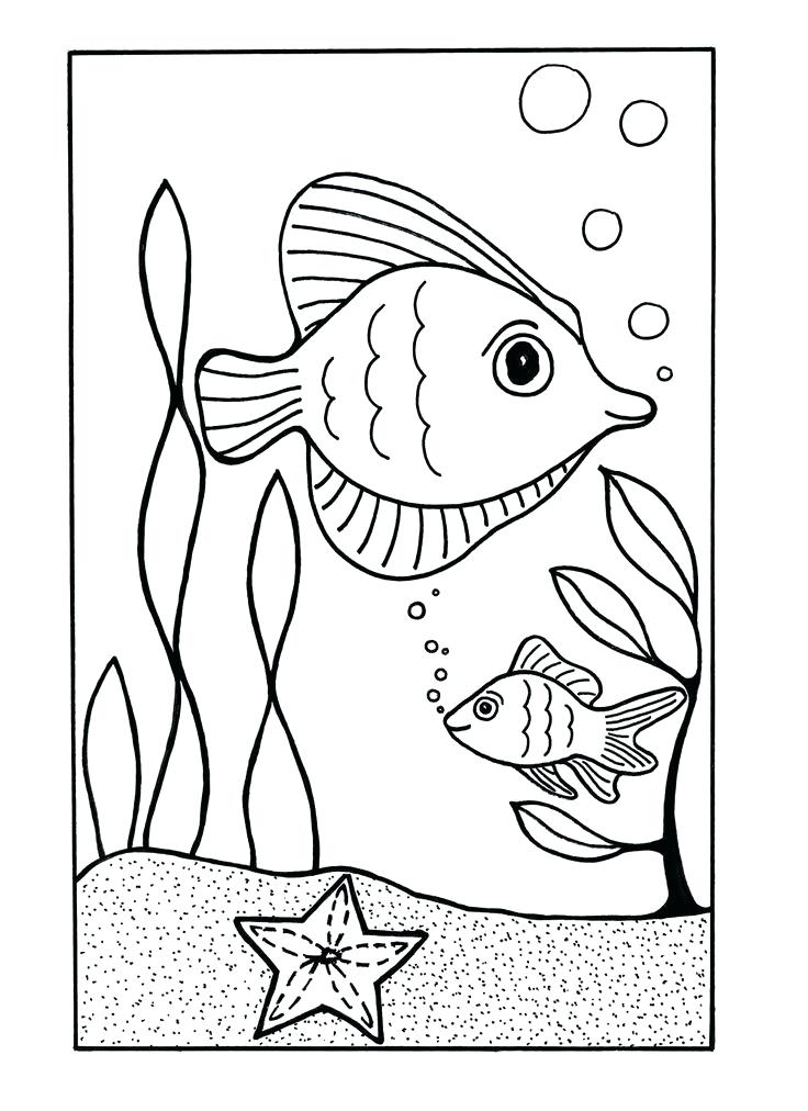 736x1012 Ocean Color Pages Under The Sea Coloring Page Ocean Coloring Ocean