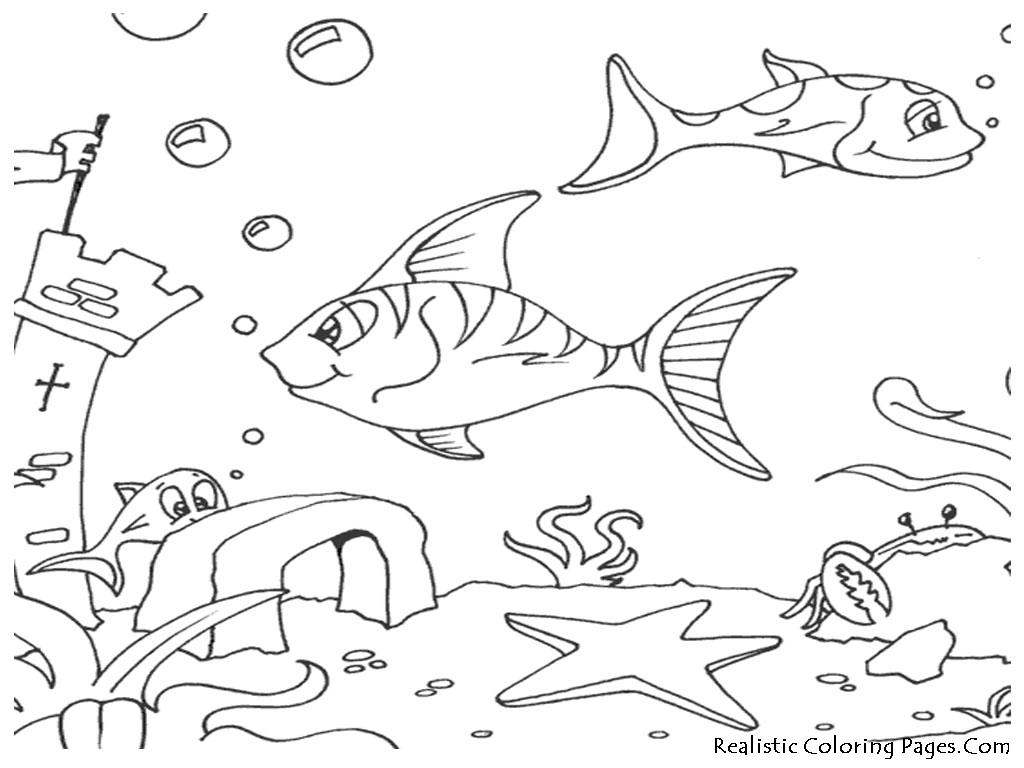 1024x768 Printable Ocean Coloring Pages