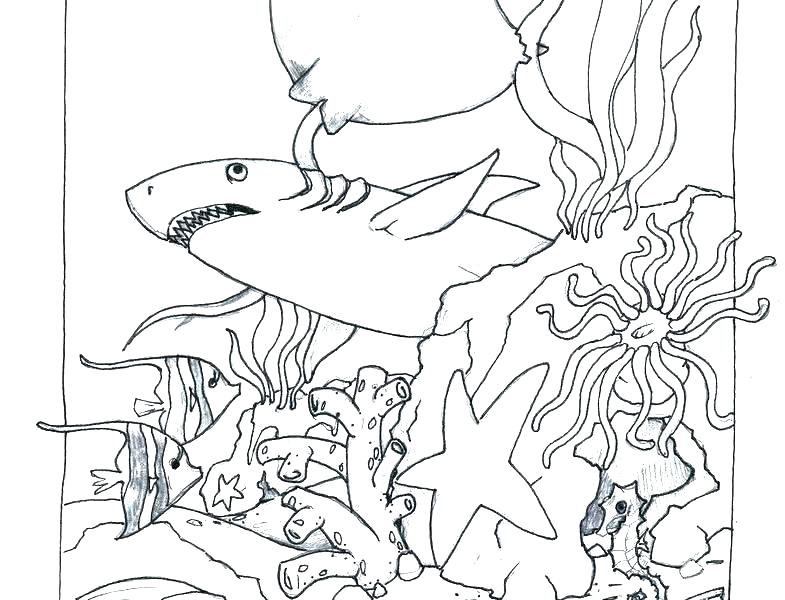 785x600 Printable Ocean Coloring Pages Slipknot Coloring Book Free Free