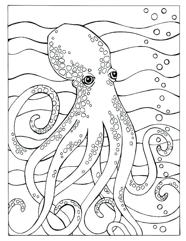 600x776 Ocean Coloring Page