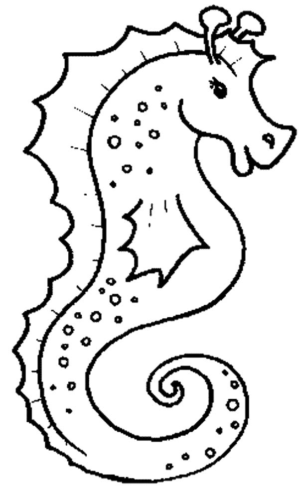 600x980 Realistic Seahorse Free Sea Animals Coloring Page