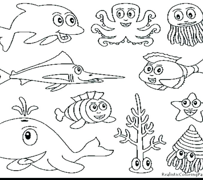 678x600 Coloring Pages Of Sea Animals Underwater Sea Creatures Coloring