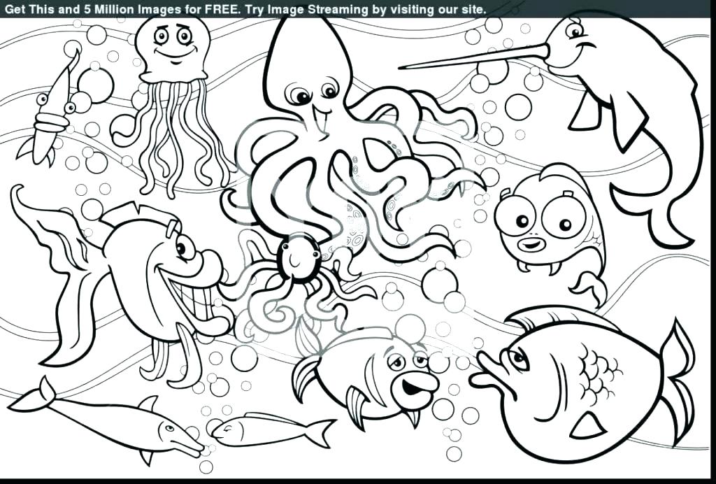 Marine Life Coloring Pages Under The Sea Coloring Sheets Marine 1024x692 Marine Life Coloring Pages Under The Sea Coloring Sheets Marine
