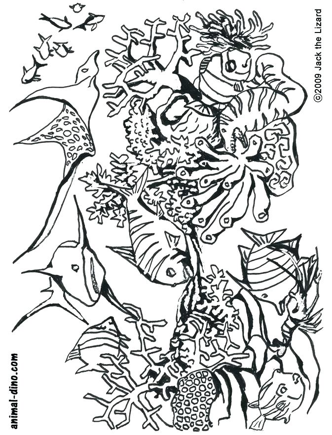 Ocean Coloring Pages Under The Sea Coloring Pages Ocean Coloring 673x883 Ocean Coloring Pages Under The Sea Coloring Pages Ocean Coloring
