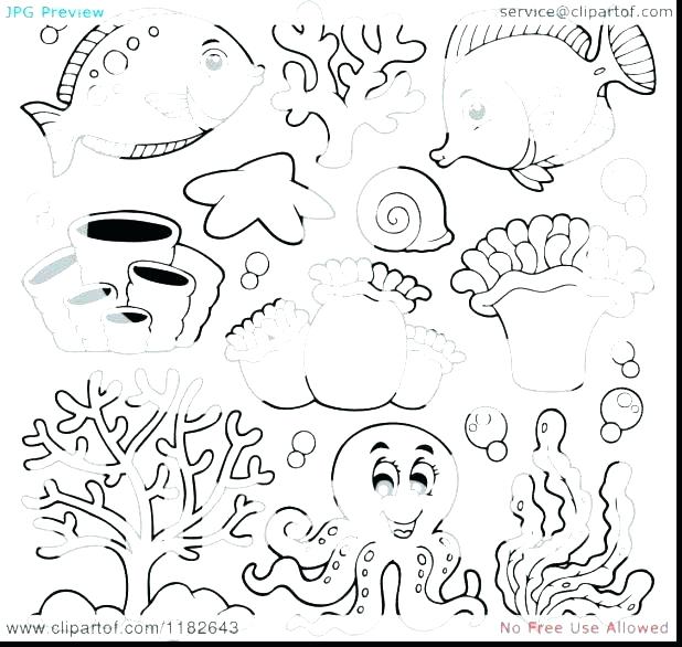 Ocean Creatures Coloring Pages Marine Life Sea Colouring Preschool 618x586 Ocean Creatures Coloring Pages Marine Life Sea Colouring Preschool