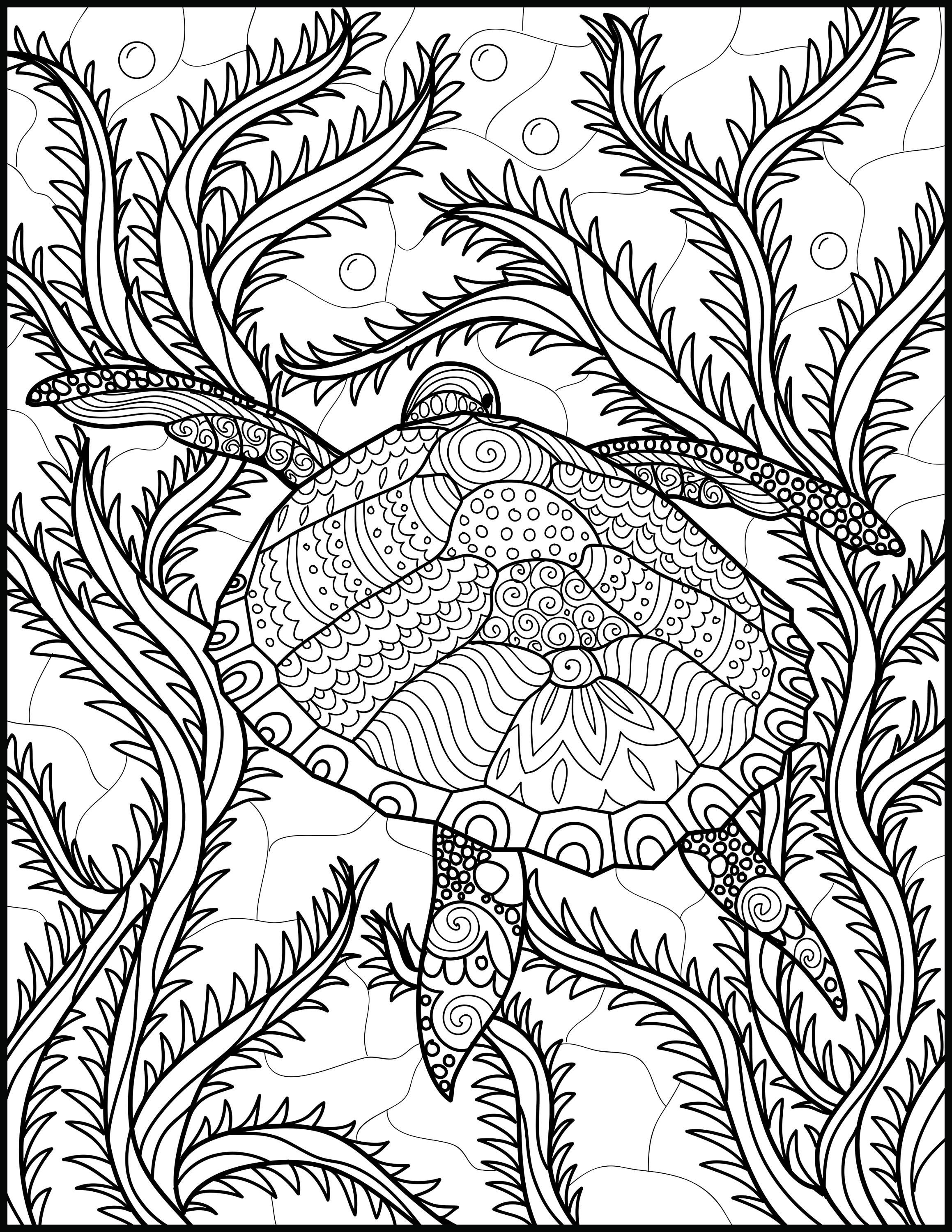 Pin By Elisabeth Quisenberry On Coloring Under The Sea 2318x3000 Pin By Elisabeth Quisenberry On Coloring Under The Sea