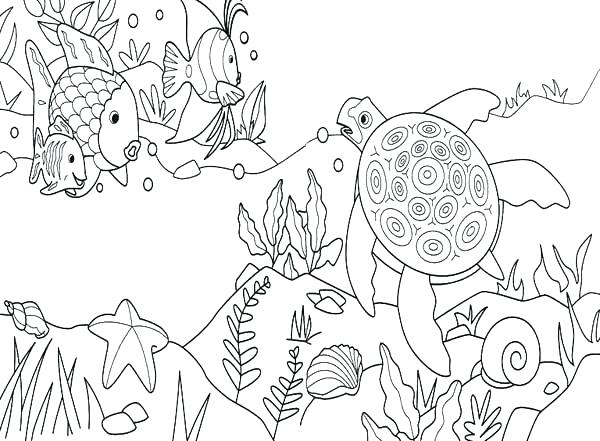 Under The Sea Coloring Sheets Under The Sea Coloring Page Under 600x441 Under The Sea Coloring Sheets Under The Sea Coloring Page Under