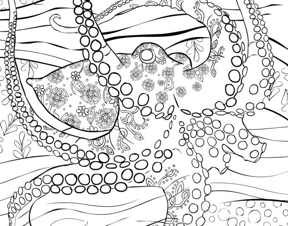 Adult Coloring Book Page From Coloring Book For Adults 570x447 Adult Coloring Book Page From Coloring Book For Adults