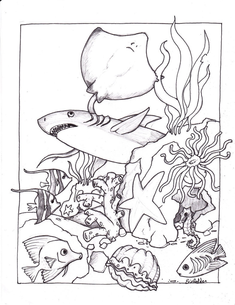 785x1018 Adult Ocean Coloring Pages To Print To Print Coloring Sheets