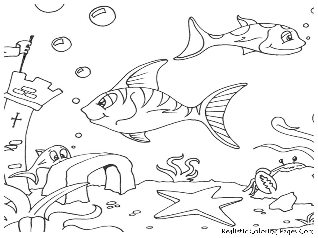 Ocean Scenery Coloring Pages Best Of Printable Ocean Coloring 1024x768 Ocean Scenery Coloring Pages Best Of Printable Ocean Coloring