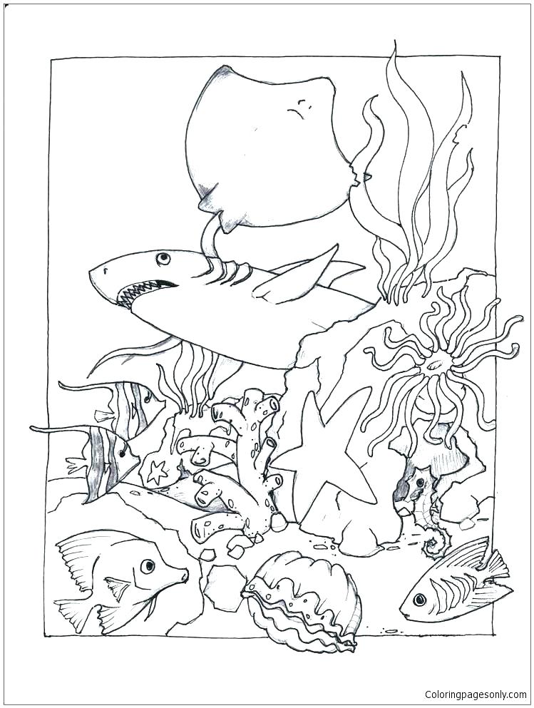 Sea Lion Coloring Page Printable Coloring Page Under The Sea 749x993 Sea Lion Coloring Page Printable Coloring Page Under The Sea