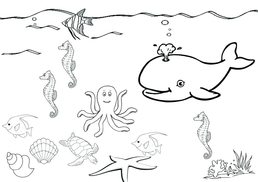 Sea Star Coloring Page Sea Star Coloring Page Sea Coloring Page 1024x723 Sea Star Coloring Page Sea Star Coloring Page Sea Coloring Page