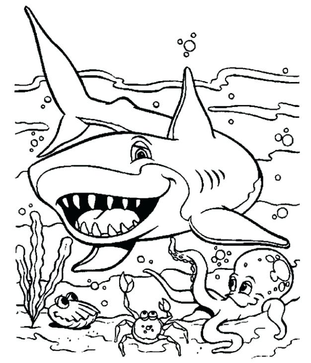 Seaworld Printable Coloring Pages Under The Sea Animal Predator 626x730 Seaworld Printable Coloring Pages Under The Sea Animal Predator