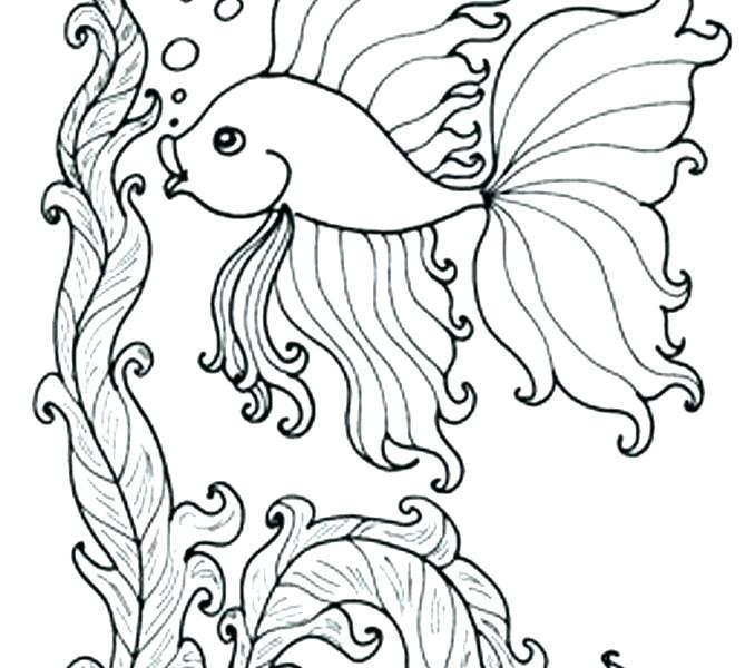 Underwater Coloring Pages Sea Shells Coloring Pages Under Sea 678x600 Underwater Coloring Pages Sea Shells Coloring Pages Under Sea