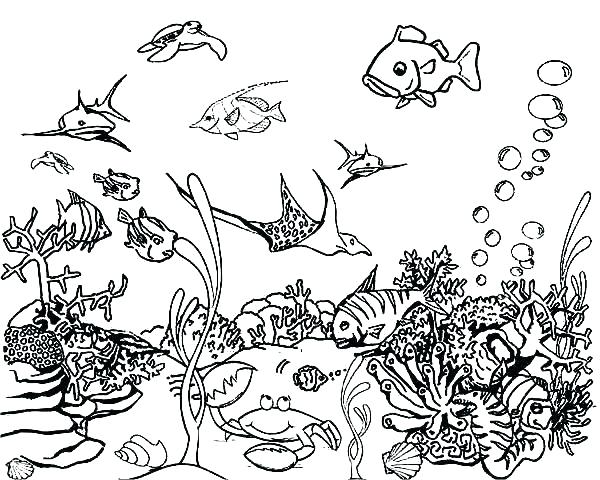 Coloring Pages Under The Sea 600x480 Coloring Pages Under The Sea