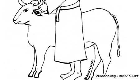 450x259 Vayikra Coloring Pages