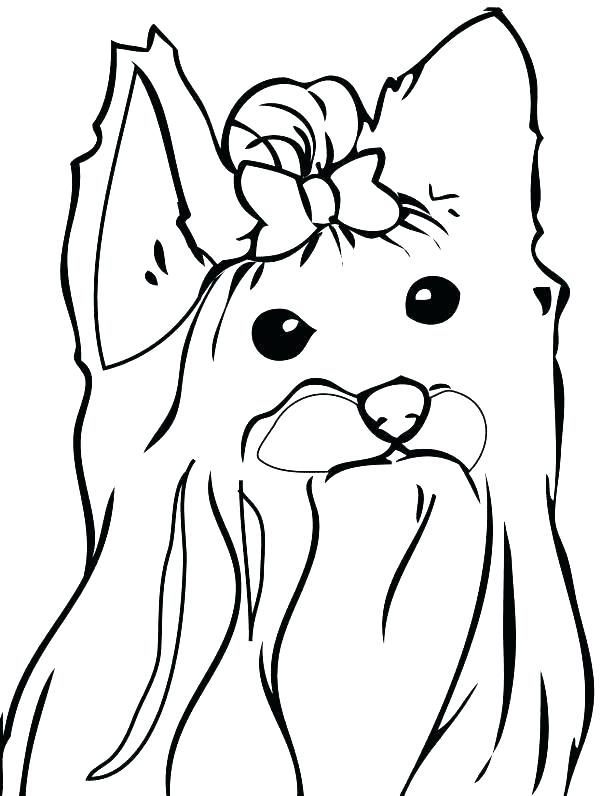 615x796 Yorkie Puppy Coloring Pages Tea Cup Coloring Page Photos Teacup