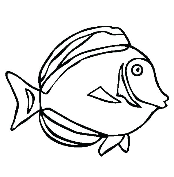 Underwater Animals Coloring Pages at GetColorings.com | Free printable ...