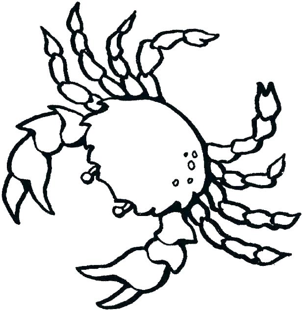 618x635 Sea Life Coloring Sea Creatures Coloring Pages Sea Creature