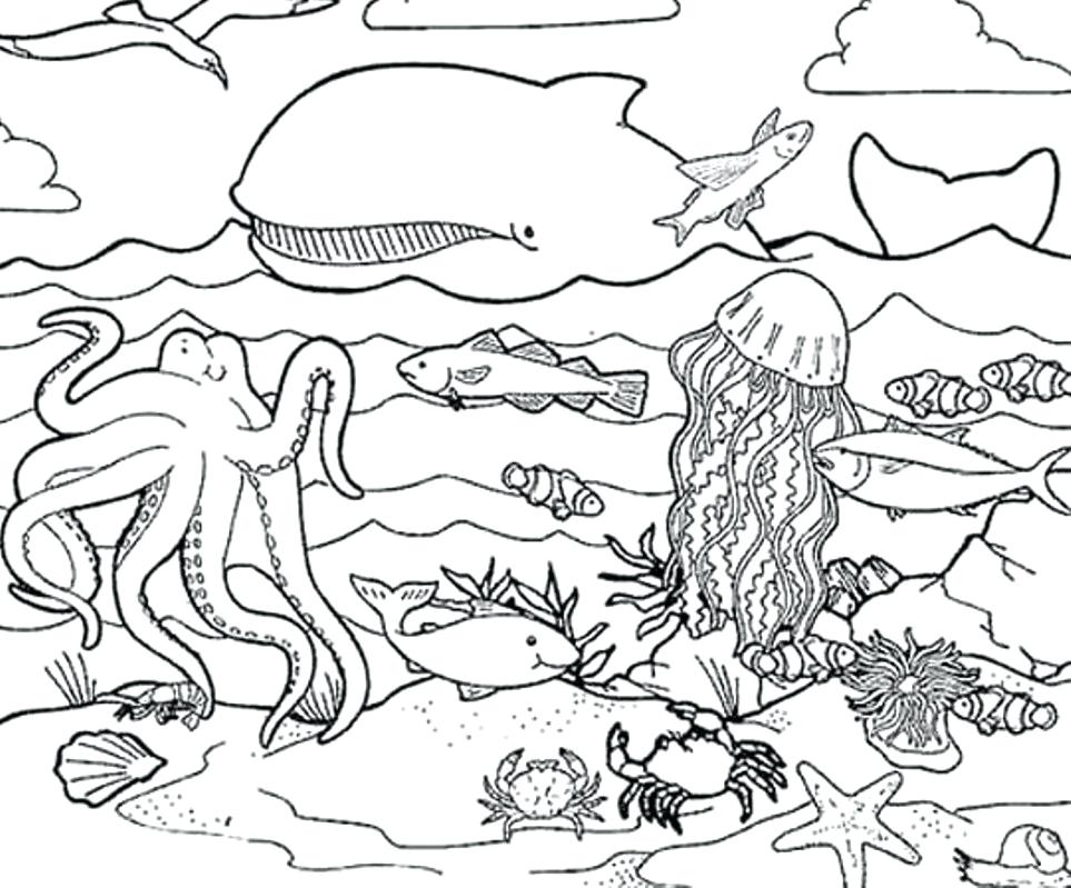 963x799 Ocean Habitat Coloring Pages Vanda