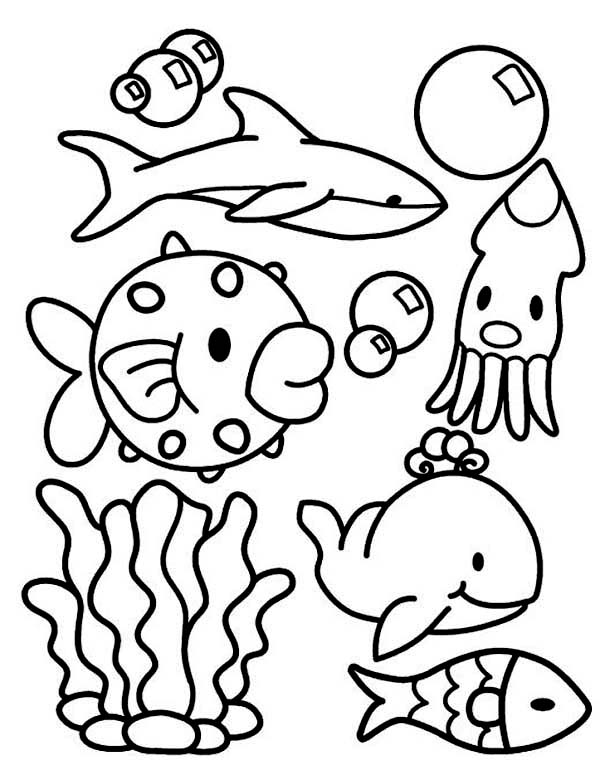 600x760 Cute Sea Animal Dolls Free Coloring Page