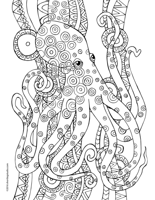 500x645 5 Underwater Coloring Pages