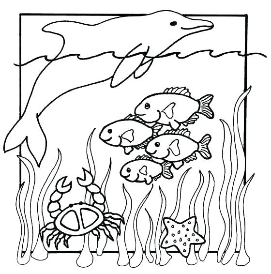 Printable Ocean Pictures Printable Ocean Coloring Pages Ocean 560x566 Printable Ocean Pictures Printable Ocean Coloring Pages Ocean