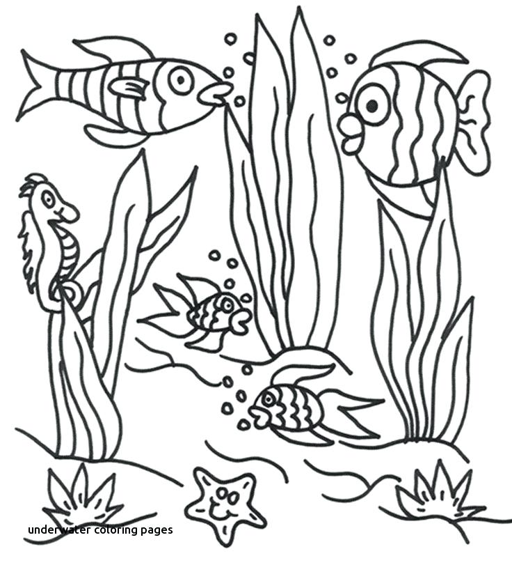 Printable Ocean Coloring Pages 736x811 Printable Ocean Coloring Pages