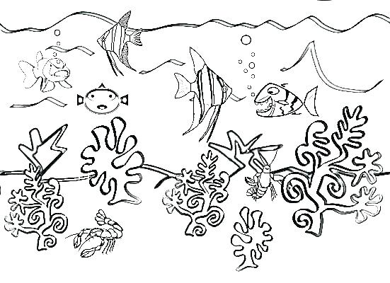 Free Printable Sea Life Coloring Pages Sea Animal Coloring Pages 551x400 Free Printable Sea Life Coloring Pages Sea Animal Coloring Pages