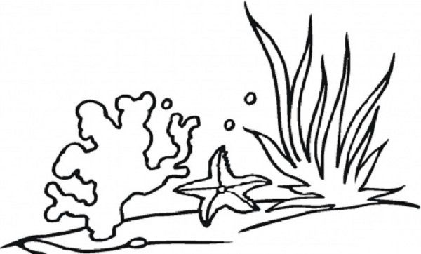Underwater Plants Coloring Pages