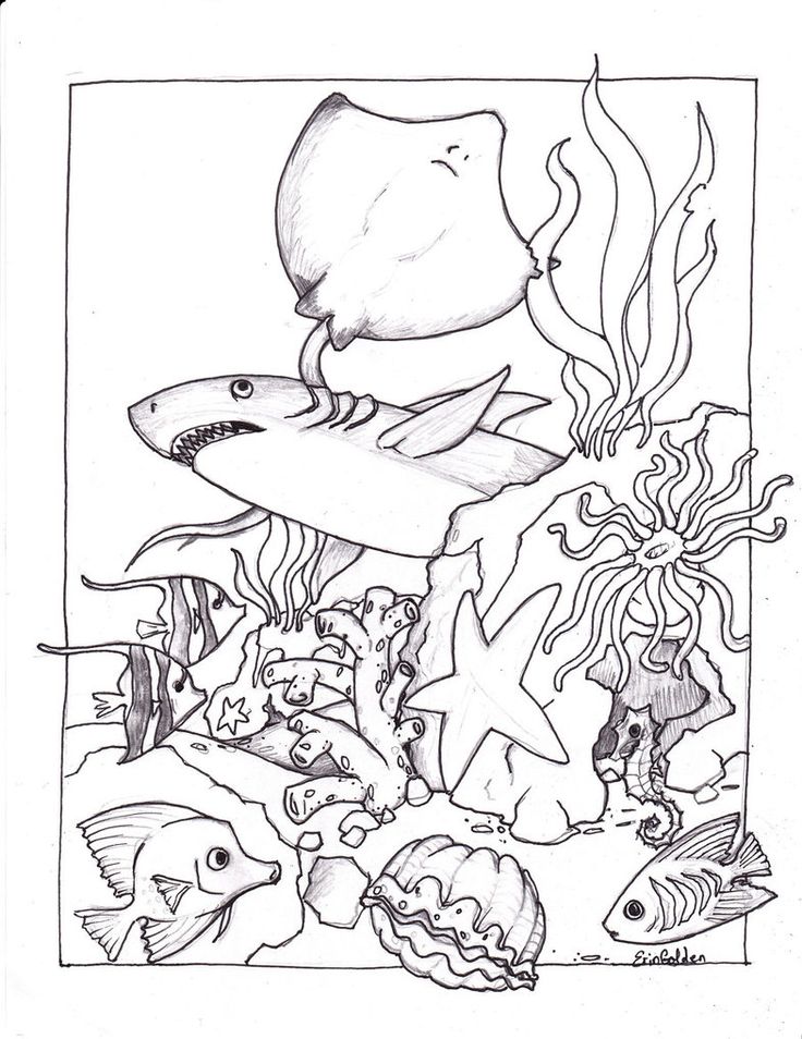 Underwater Scene Coloring Pages
