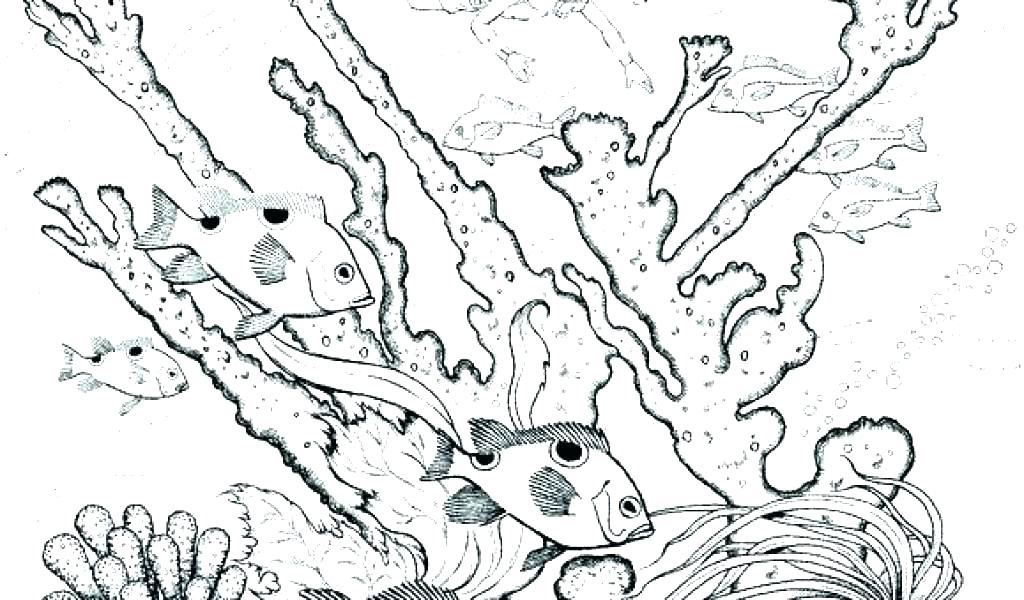 1024x600 Underwater Coloring Pages
