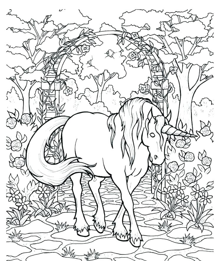 736x888 Pegasus Coloring Pages Coloring Pages Unicorn And Coloring Pages