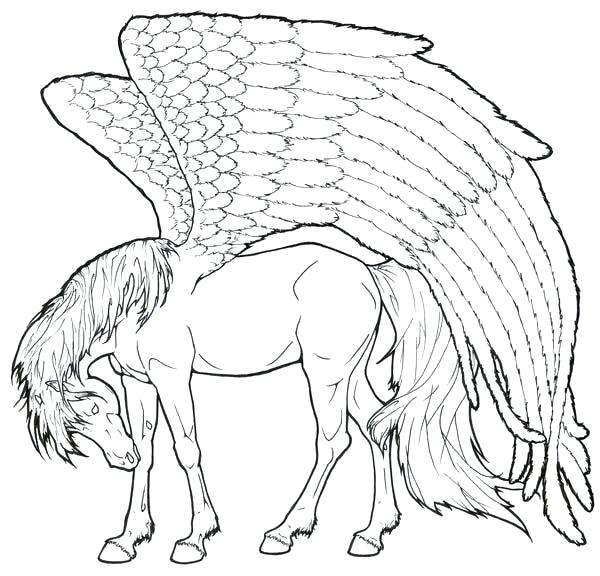 600x576 Top Coloring Pages Fee Unicorn Pictures For Adult Top Coloring