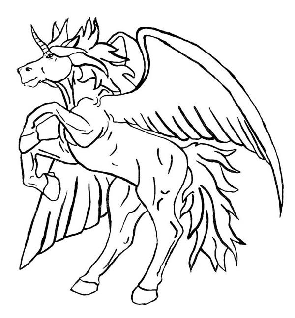600x648 Unicorn With Wings Coloring Pages Free Coloring Pages