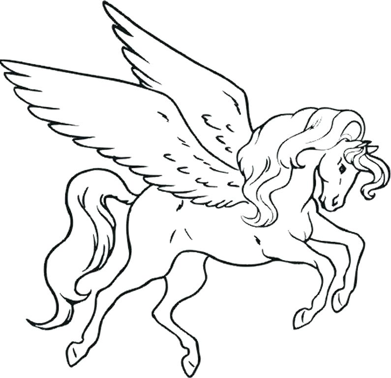 795x768 Unicorn With Wings Coloring Pages Unicorn Wings Coloring Pages