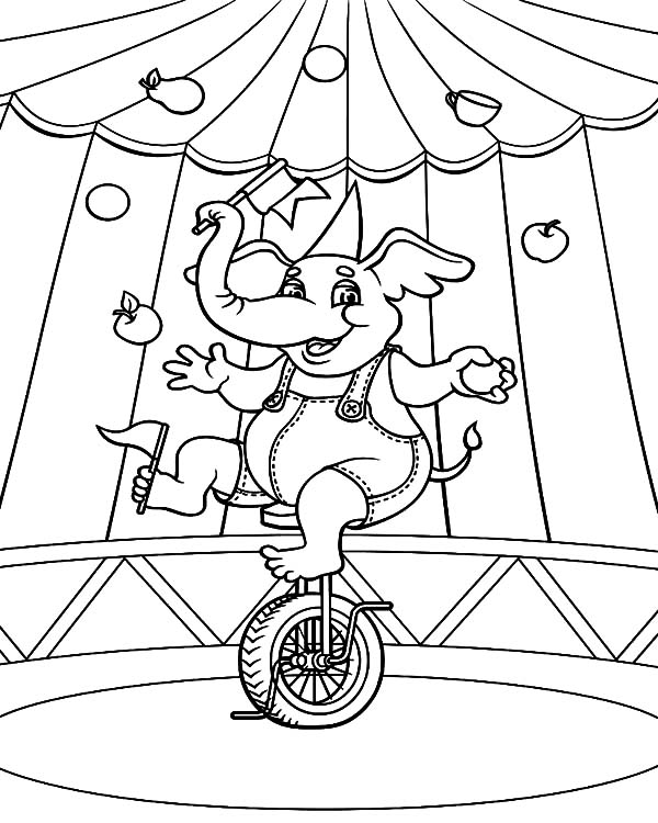 600x750 Circus Elephant Ride Unicycle Coloring Pages Best Place To Color