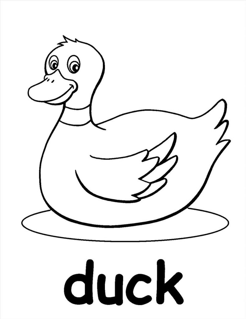 792x1024 Genuine Printable Pictures Of Ducks Duck Coloring Pages Pair