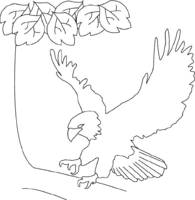675x693 United States Coloring Pages, National Monuments