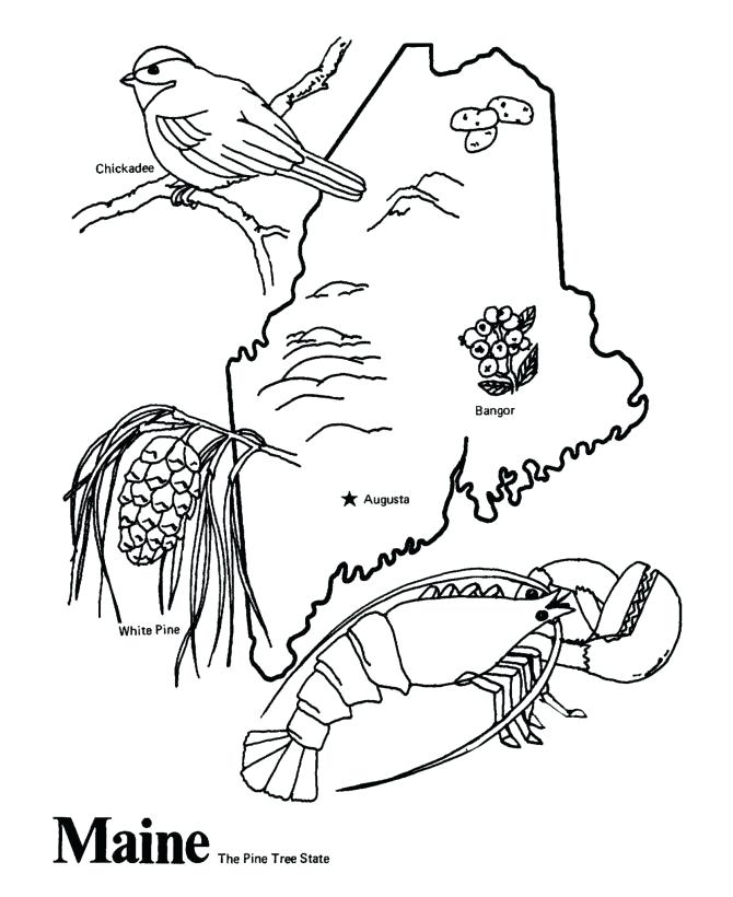 670x820 United States Coloring Page States Coloring Pages United States