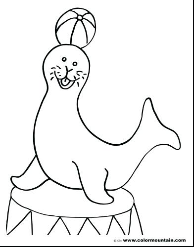 392x500 Navy Coloring Pages Medium Size Of Seal Coloring Pages Great