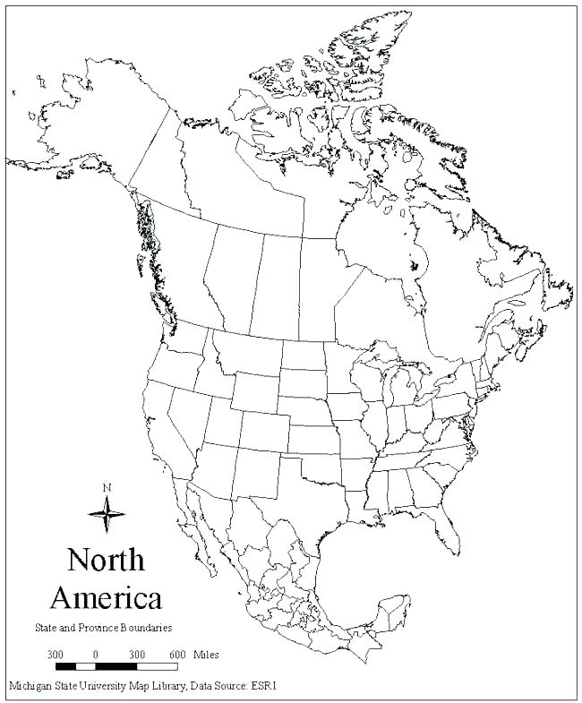 Coloring Page Of The United States Us Map Coloring Page Image Flag 650x785 Coloring Page Of The United States Us Map Coloring Page Image Flag
