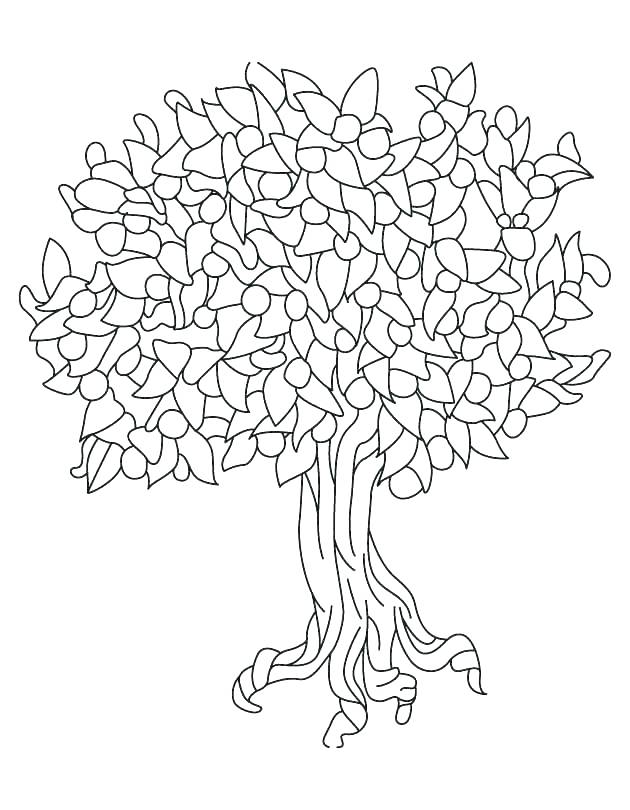 Coloring Pages Us Symbols Coloring Pages Coloring Pages Louisiana 630x810 Coloring Pages Us Symbols Coloring Pages Coloring Pages Louisiana