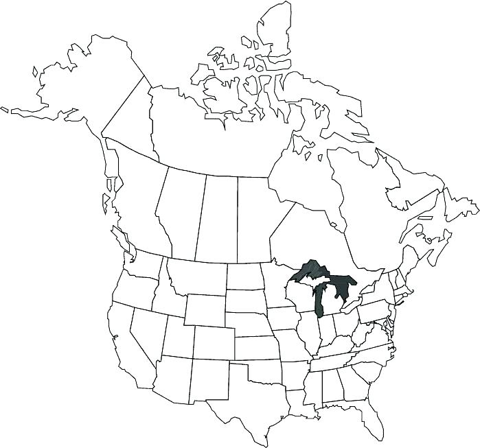 Usa Map Coloring Page Map Coloring Page Map Coloring Pages Map 699x653 Usa Map Coloring Page Map Coloring Page Map Coloring Pages Map