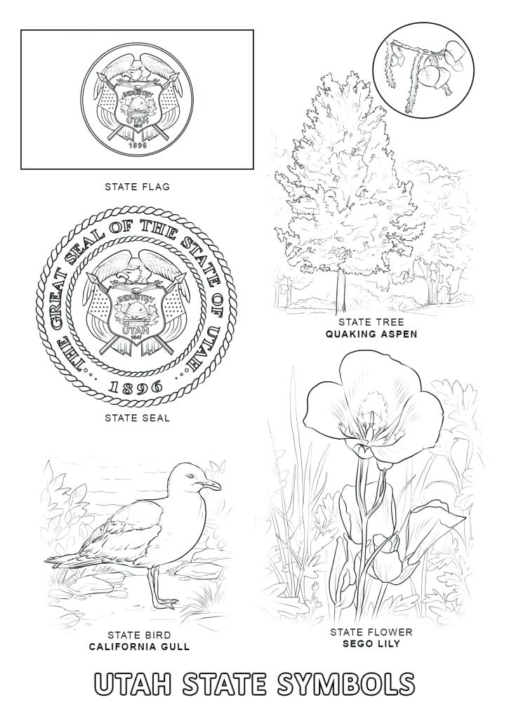 Usa Coloring Page 725x1024 Usa Coloring Page