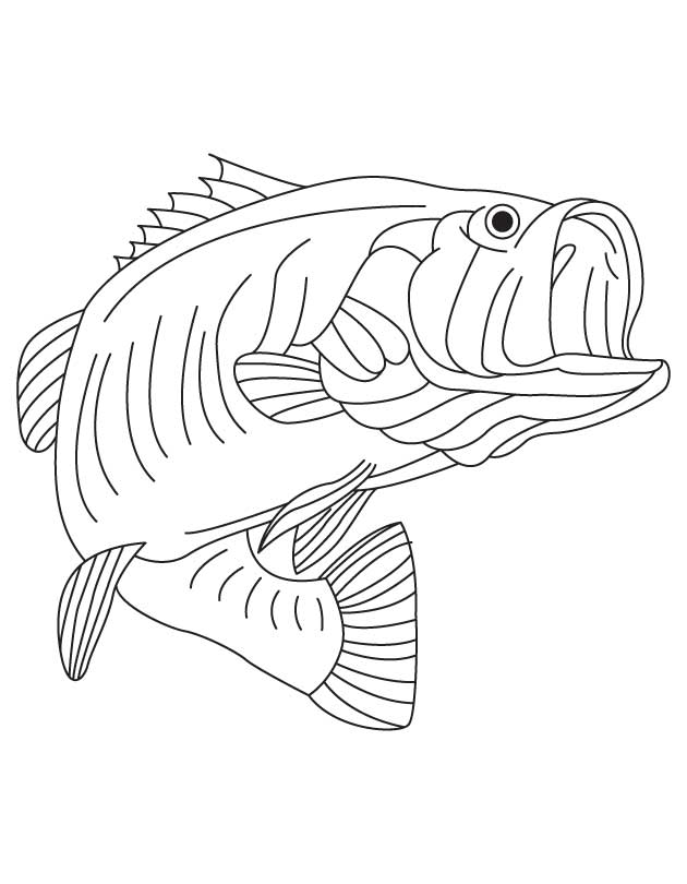 Largemouth Bass Coloring Page 630x810 Largemouth Bass Coloring Page
