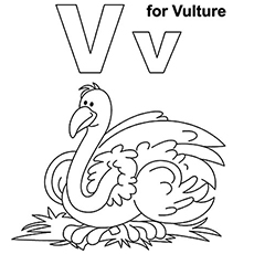 230x230 Top 10 Free Printable Letter V Coloring Pages Online