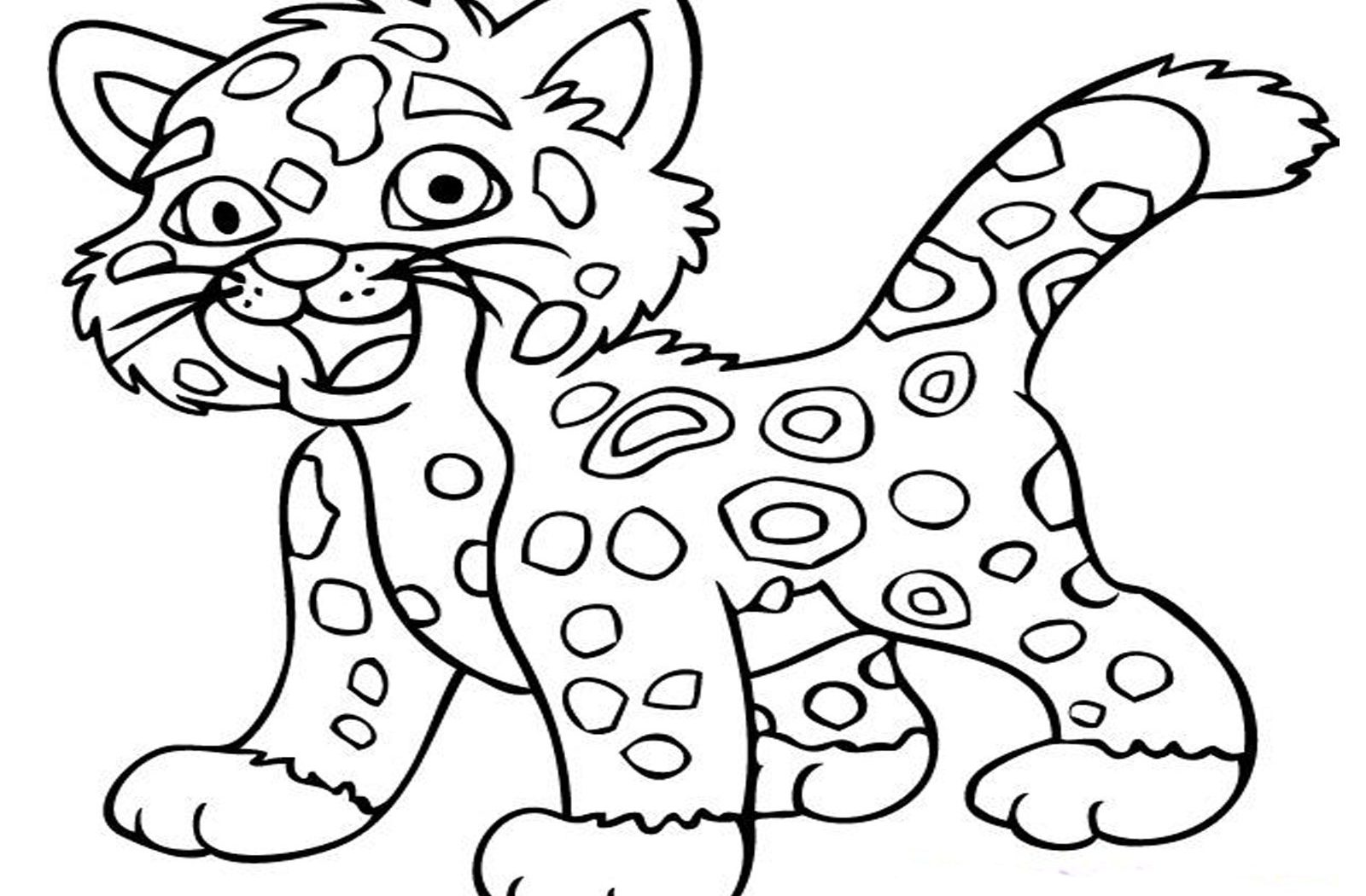 1600x1050 Sitting Raccoon Coloring Page Free Printable Nocturnal Animals